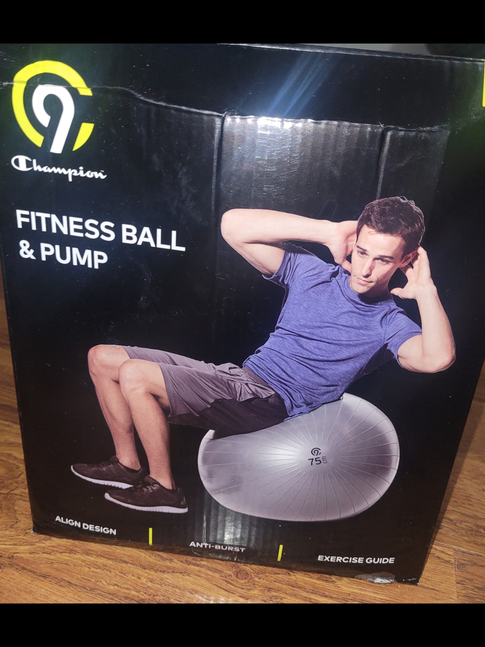 Champion Silver Stability Fitness Ball with Pump